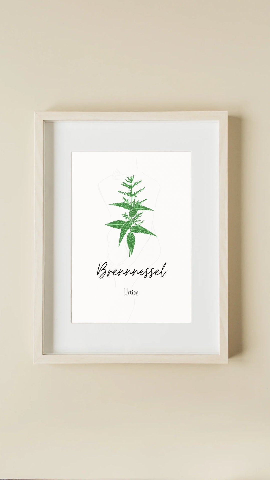 Kräuter Poster - Stilvolle Kräuterillustration der Brennnessel als Wanddeko für Küche oder Kräuterecke.
