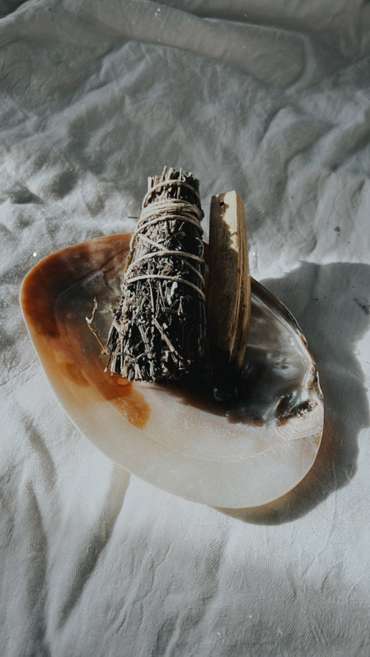 Natürliche Muschelschale zur Aufbewahrung von Räucherwerk, Palo Santo oder Edelsteinen – ideal für Rituale und Altardeko