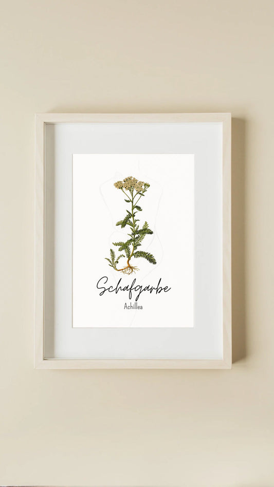 Schafgarbe-Poster zum Ausdrucken – stilvolle Heilkräuter-Deko für Küche, Meditationsplatz oder Kräuterecke