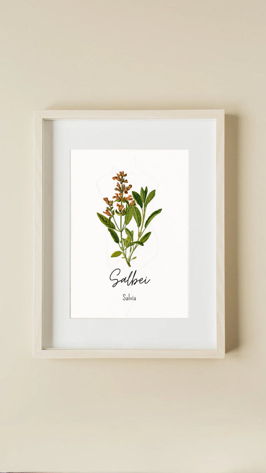 Kräuterposter mit Salbei-Illustration zum Ausdrucken – natürliche Deko für Küche & Essbereich.