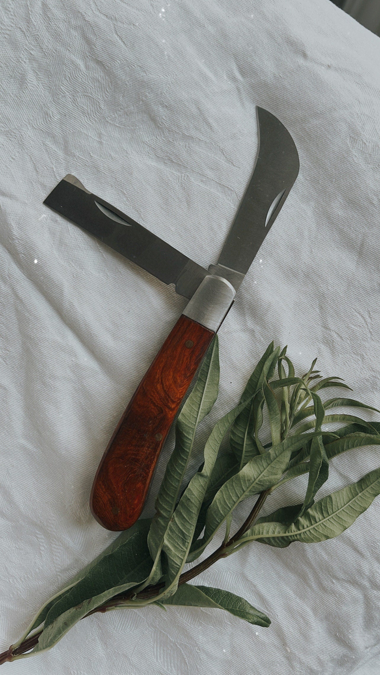 Pilz- & Kräutermesser mit edlem Holzgriff
