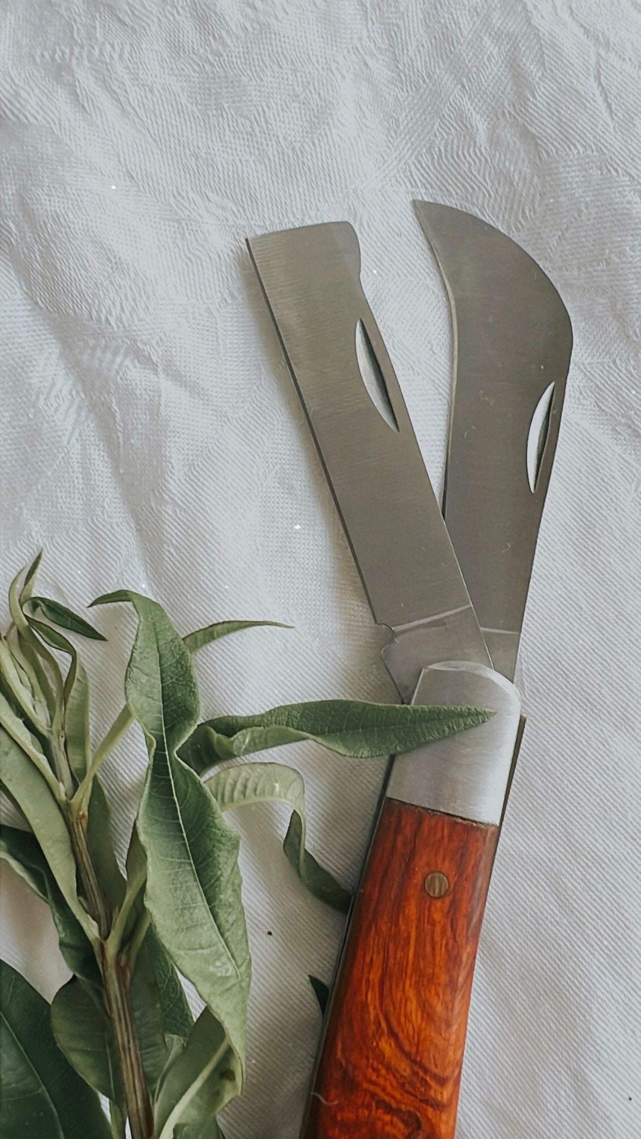 Pilz- & Kräutermesser mit edlem Holzgriff