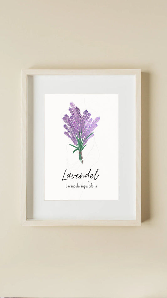 Heilkräuter Lavendel – Beruhigende Kräuter-Deko zum Ausdrucken